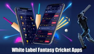 White Label Fantasy Cricket Apps